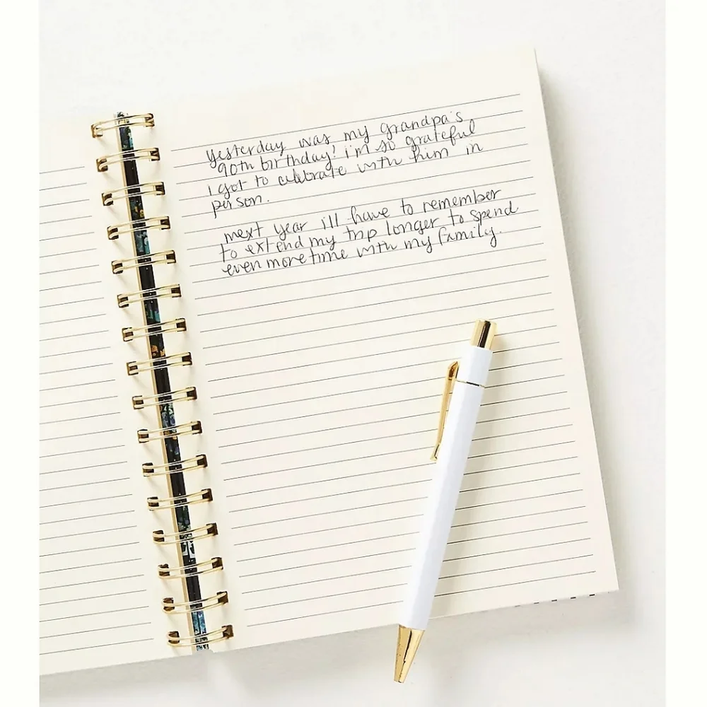 Anthropologie Lizzy Spiral journal